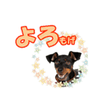 ミニピン頻出ワード（個別スタンプ：7）