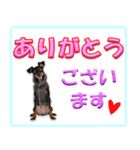 ミニピン頻出ワード（個別スタンプ：10）