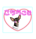 ミニピン頻出ワード（個別スタンプ：11）