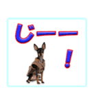ミニピン頻出ワード（個別スタンプ：13）