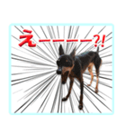 ミニピン頻出ワード（個別スタンプ：14）