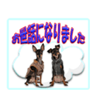 ミニピン頻出ワード（個別スタンプ：15）