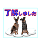 ミニピン頻出ワード（個別スタンプ：18）