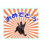 ミニピン頻出ワード（個別スタンプ：19）