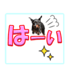 ミニピン頻出ワード（個別スタンプ：20）