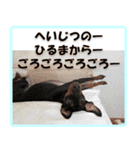 ミニピン頻出ワード（個別スタンプ：23）