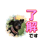 ミニピン頻出ワード（個別スタンプ：26）