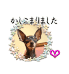 ミニピン頻出ワード（個別スタンプ：27）