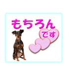 ミニピン頻出ワード（個別スタンプ：29）