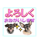 ミニピン頻出ワード（個別スタンプ：30）