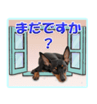 ミニピン頻出ワード（個別スタンプ：33）