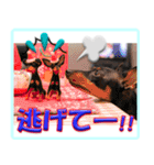 ミニピン頻出ワード（個別スタンプ：37）