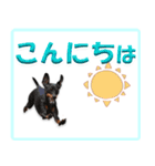 ミニピン頻出ワード（個別スタンプ：40）