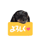 はるはな。（個別スタンプ：2）