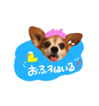 はるはな。（個別スタンプ：5）