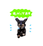 はるはな。（個別スタンプ：7）
