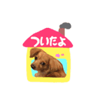 はるはな。（個別スタンプ：8）