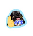 はるはな。（個別スタンプ：11）