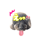 はるはな。（個別スタンプ：13）