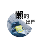 シュナウザ一DiDi ちゃん（個別スタンプ：14）