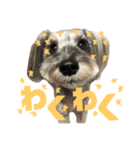 愛犬soraくん（個別スタンプ：9）