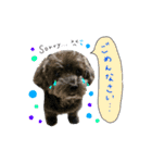 わんこティちゃん（個別スタンプ：4）