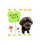 わんこティちゃん（個別スタンプ：7）