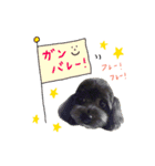 わんこティちゃん（個別スタンプ：8）