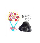 わんこティちゃん（個別スタンプ：14）