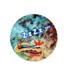 うみやま～その②海の生き物（個別スタンプ：3）