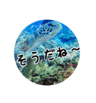 うみやま～その②海の生き物（個別スタンプ：9）
