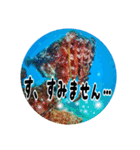うみやま～その②海の生き物（個別スタンプ：11）
