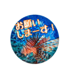 うみやま～その②海の生き物（個別スタンプ：15）