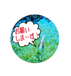うみやま～その①いきもの達（個別スタンプ：3）