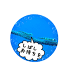 うみやま～その①いきもの達（個別スタンプ：6）