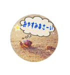 うみやま～その①いきもの達（個別スタンプ：7）