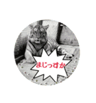 うみやま～その①いきもの達（個別スタンプ：9）