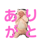 ひったんすたんぷ（個別スタンプ：16）