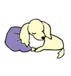 みにちゅあだっくすたんぷ（個別スタンプ：3）