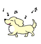 みにちゅあだっくすたんぷ（個別スタンプ：5）