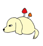 みにちゅあだっくすたんぷ（個別スタンプ：13）