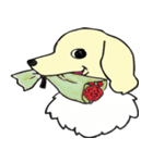 みにちゅあだっくすたんぷ（個別スタンプ：21）