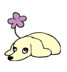 みにちゅあだっくすたんぷ（個別スタンプ：22）