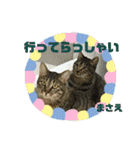 まさえーこんにちは（個別スタンプ：7）
