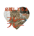 まさえーこんにちは（個別スタンプ：13）