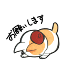 かくねちゃんスタンプ（個別スタンプ：6）