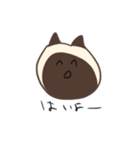 使えるシャム猫スタンプ（個別スタンプ：3）