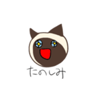 使えるシャム猫スタンプ（個別スタンプ：20）