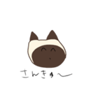 使えるシャム猫スタンプ（個別スタンプ：21）