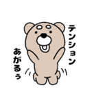 クマスケ★☆（個別スタンプ：1）
